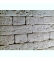 Capri - ABS Plastic Press Mold Bricks Wall Stone Art Design Decor