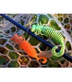 FANATIK Larva-LUX 1.6 SILICONE FISHING LURES BAITS AROMA JIG EATABLE SOFT