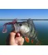 FANATIK LANGOSTA 2.3-3.6 SEÑUELOS DE SILICONA PARA PESCA CEBOS AROMA JIG COMIDA SUAVE