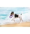 PULLER midi Ø20 cm (8") - dog fitness tool for medium and small breeds