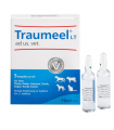 TRAUMEEL (POUR ANIMAUX) SOLUTION INJECTABLE, 5 ML, 5 AMPOULES