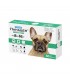 Superium Panacea Antiparasitic for dogs 8-16 kg