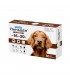Superium Panacea Antiparasitic for dogs 16-30 kg