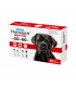 Superium Panacea Antiparasitic for dogs 30-60 kg